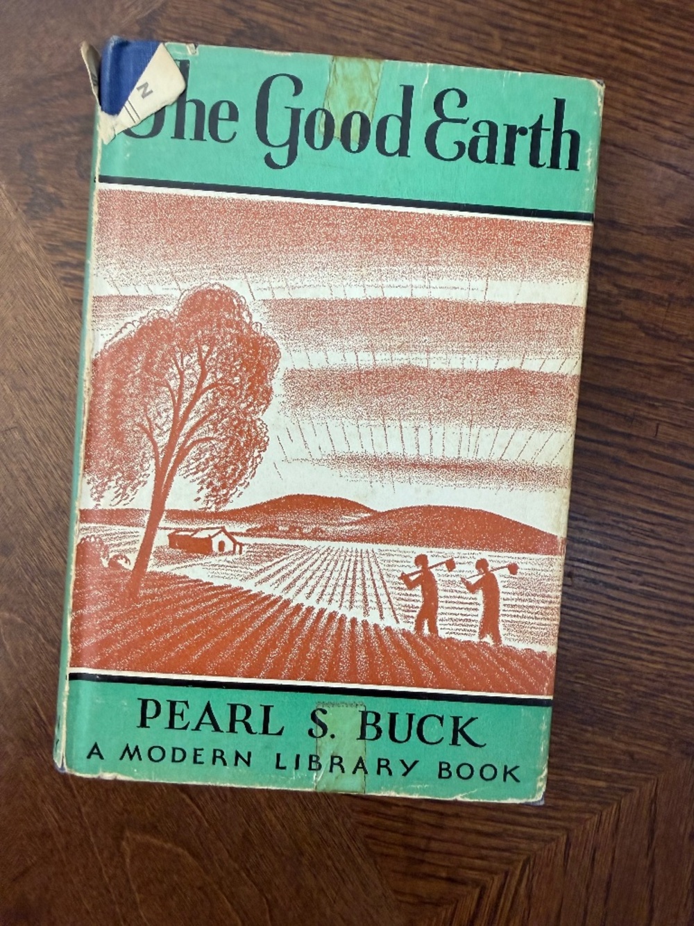The good earth book vintage